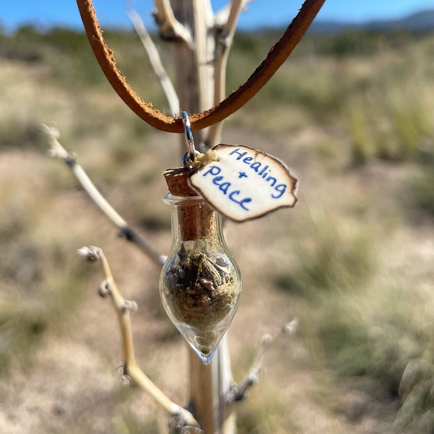 Mini Manifestation Jar Necklaces